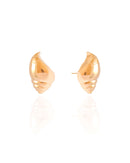 Polished Seashell Gold Plated Earrings – 2.4 cm