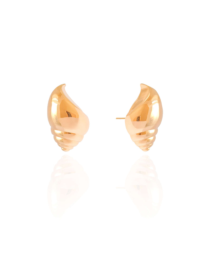 Polished Seashell Gold Plated Earrings – 2.4 cm