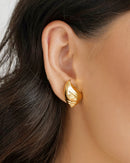 Polished Seashell Gold Plated Earrings – 2.4 cm