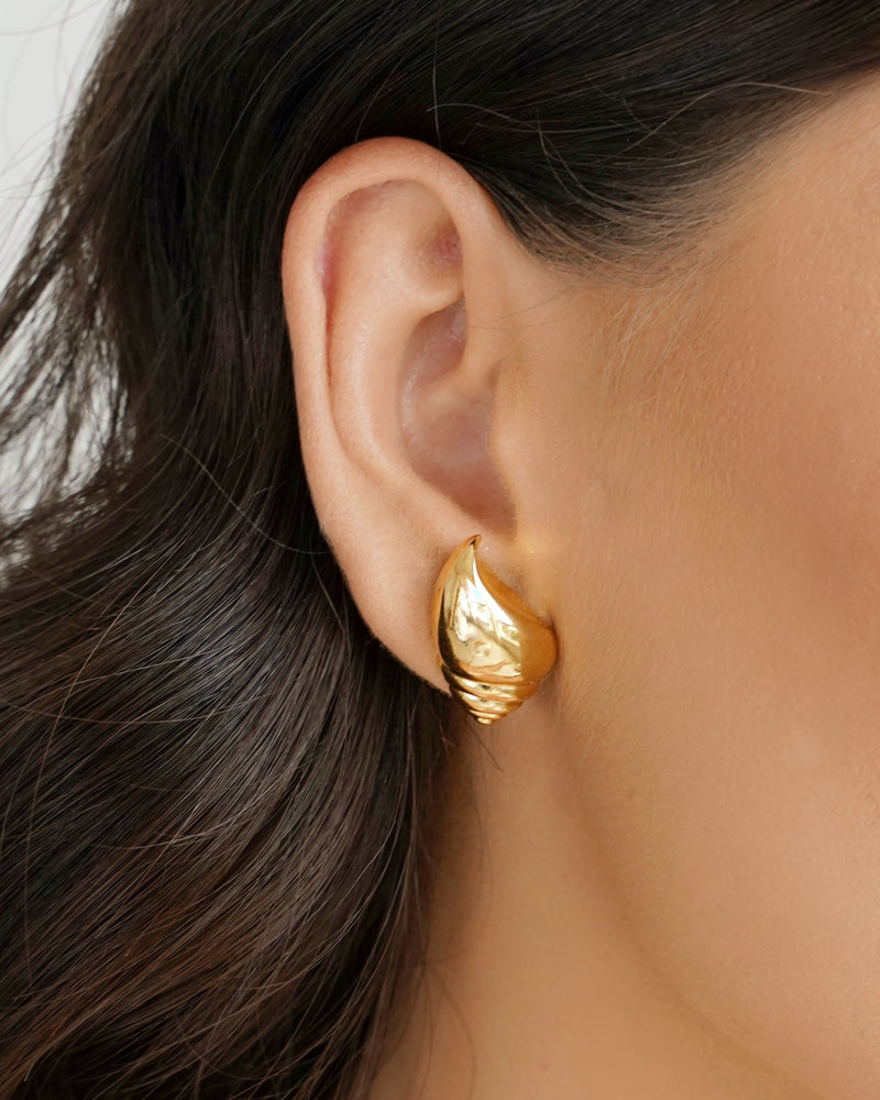 Polished Seashell Gold Plated Earrings – 2.4 cm