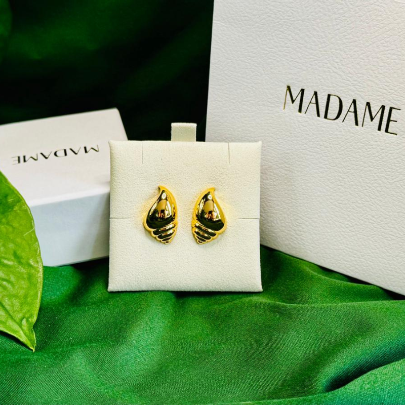 Polished Seashell Gold Plated Earrings – 2.4 cm